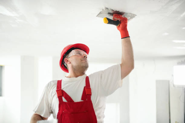 Reliable Stevenson Ranch, CA Painting & Drywall Installation Solutions